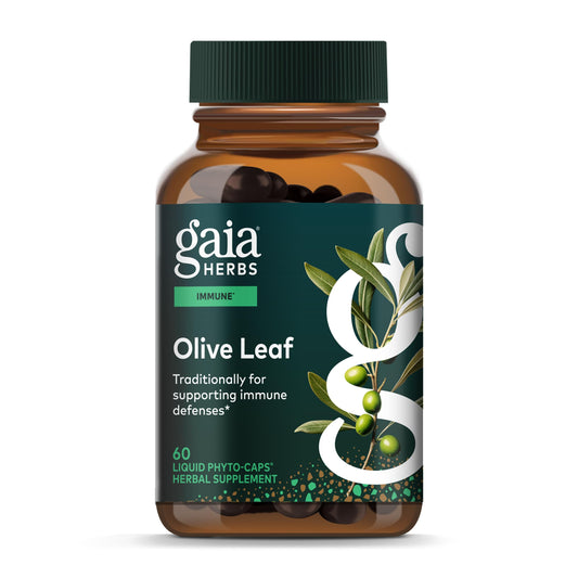 Gaia Herbs Olive Leaf bottle close-up highlighting pure extract for immune support