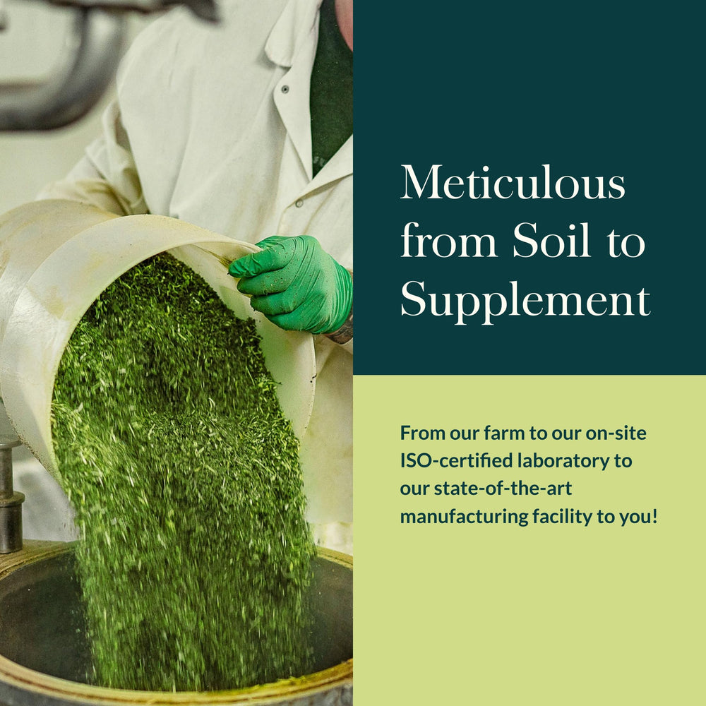 Gaia Herbs Olive Leaf daily-use setup supports simple routines.