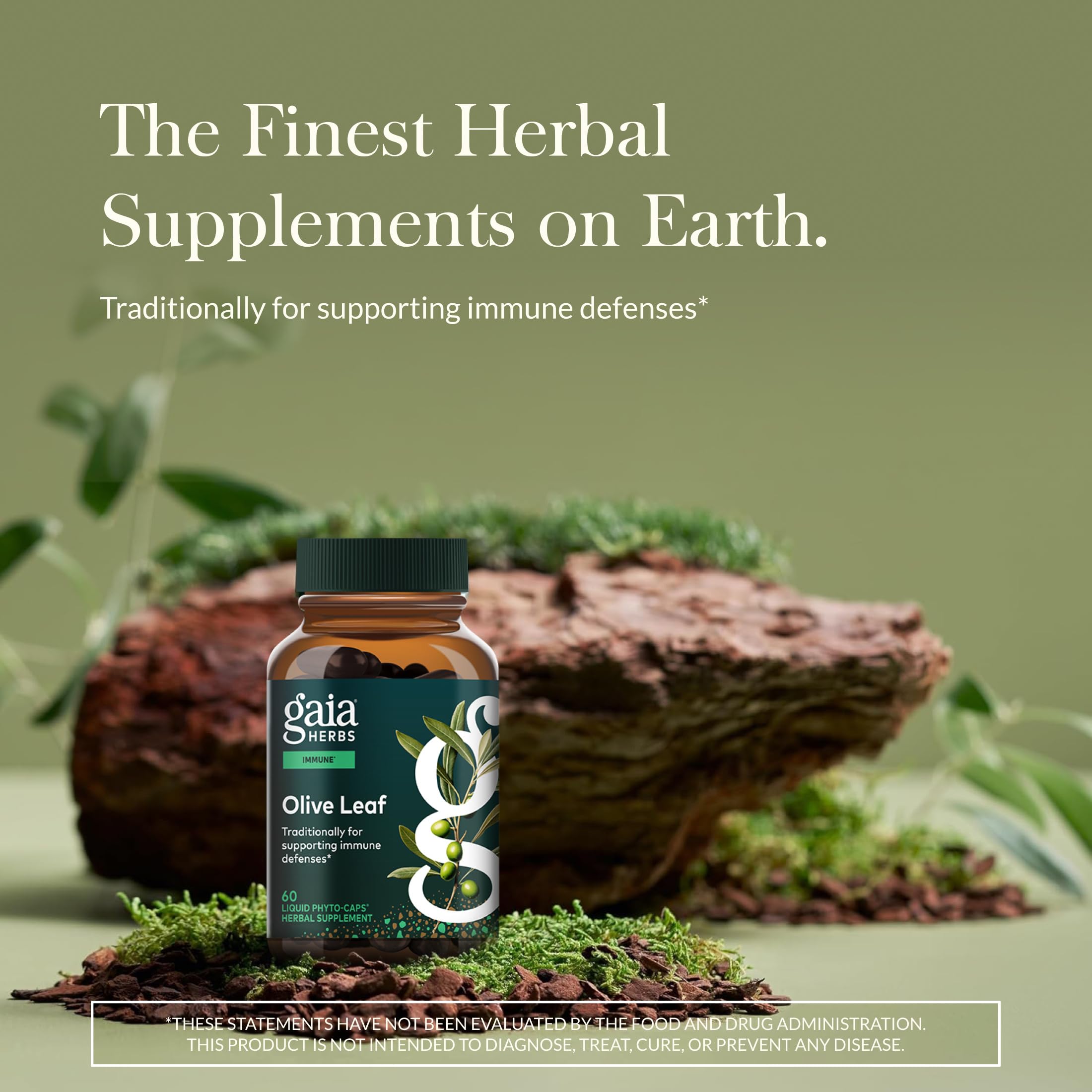 Ga​​ia Herbs Olive Leaf extract Oleuropein close-up for targeted phytonutrient delivery