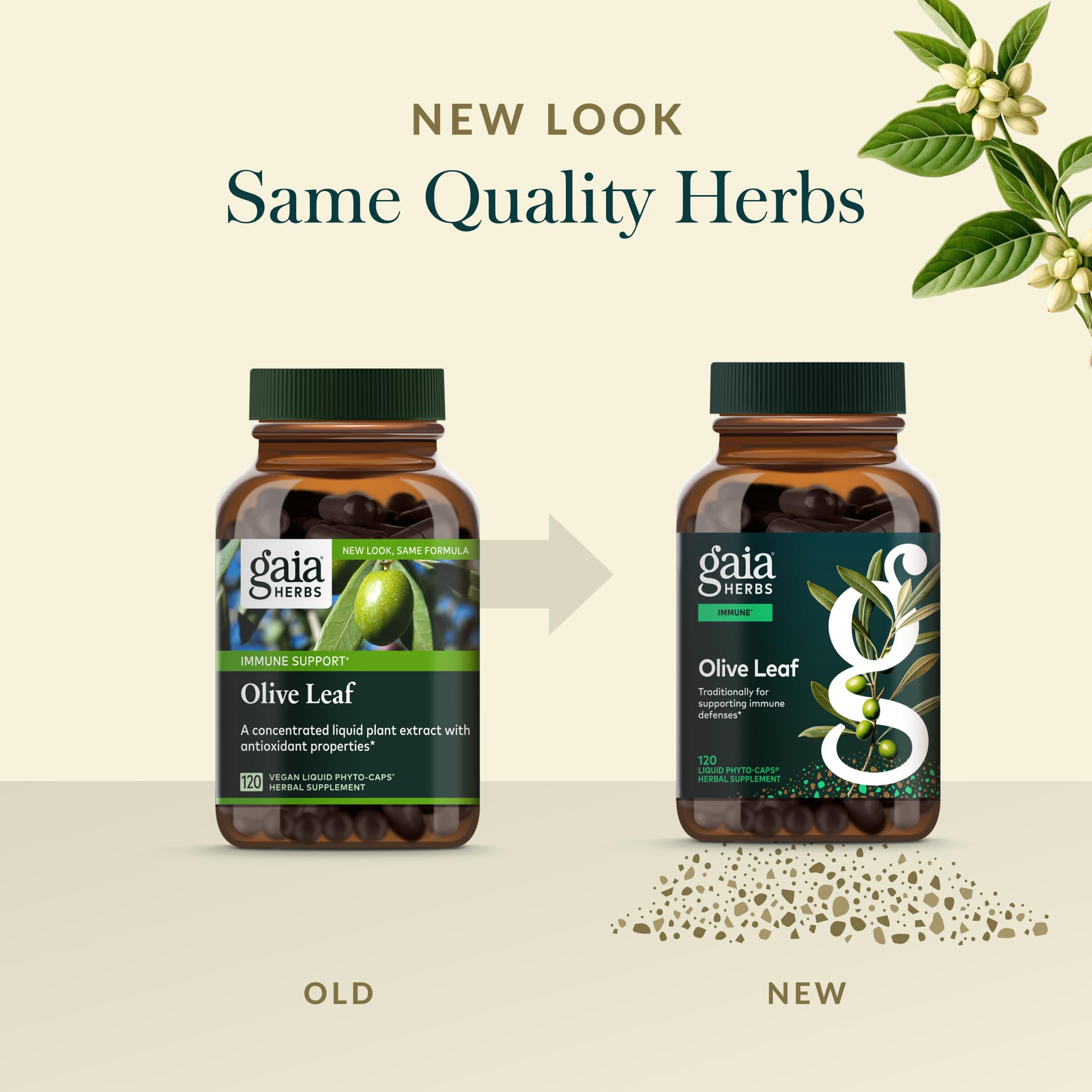 Gaia Herbs Olive Leaf phyto-caps packaging conveys convenient daily use.