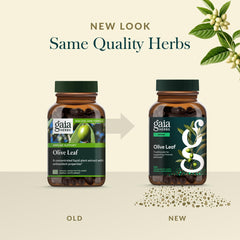 Gaia Herbs Olive Leaf phyto-caps packaging conveys convenient daily use.