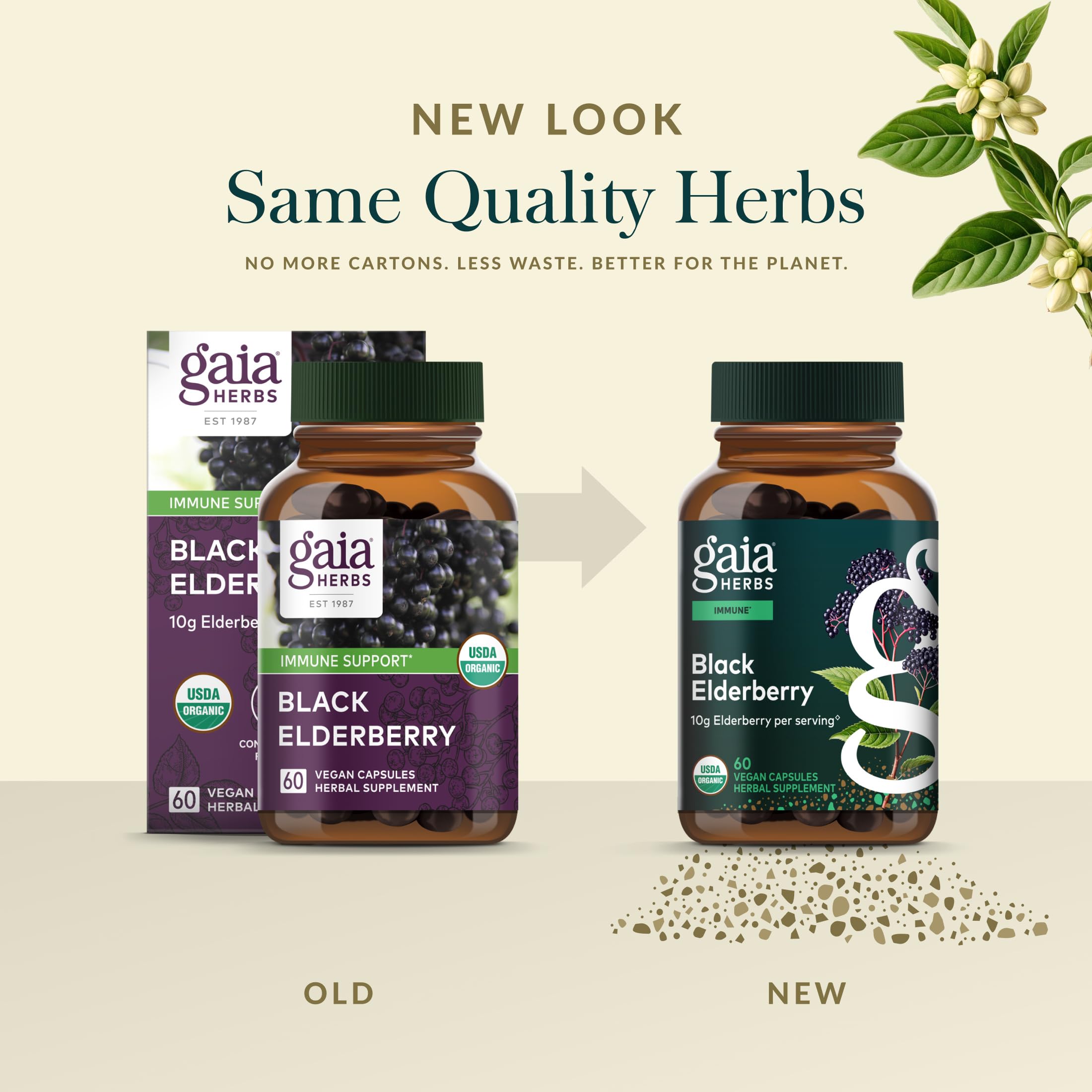 Gaia Herbs organic elderberry farm harvest image emphasizing sustainable sourcing.