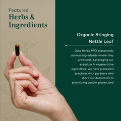 Gaia Herbs Organic nettle leaf extract shows natural color and clarity