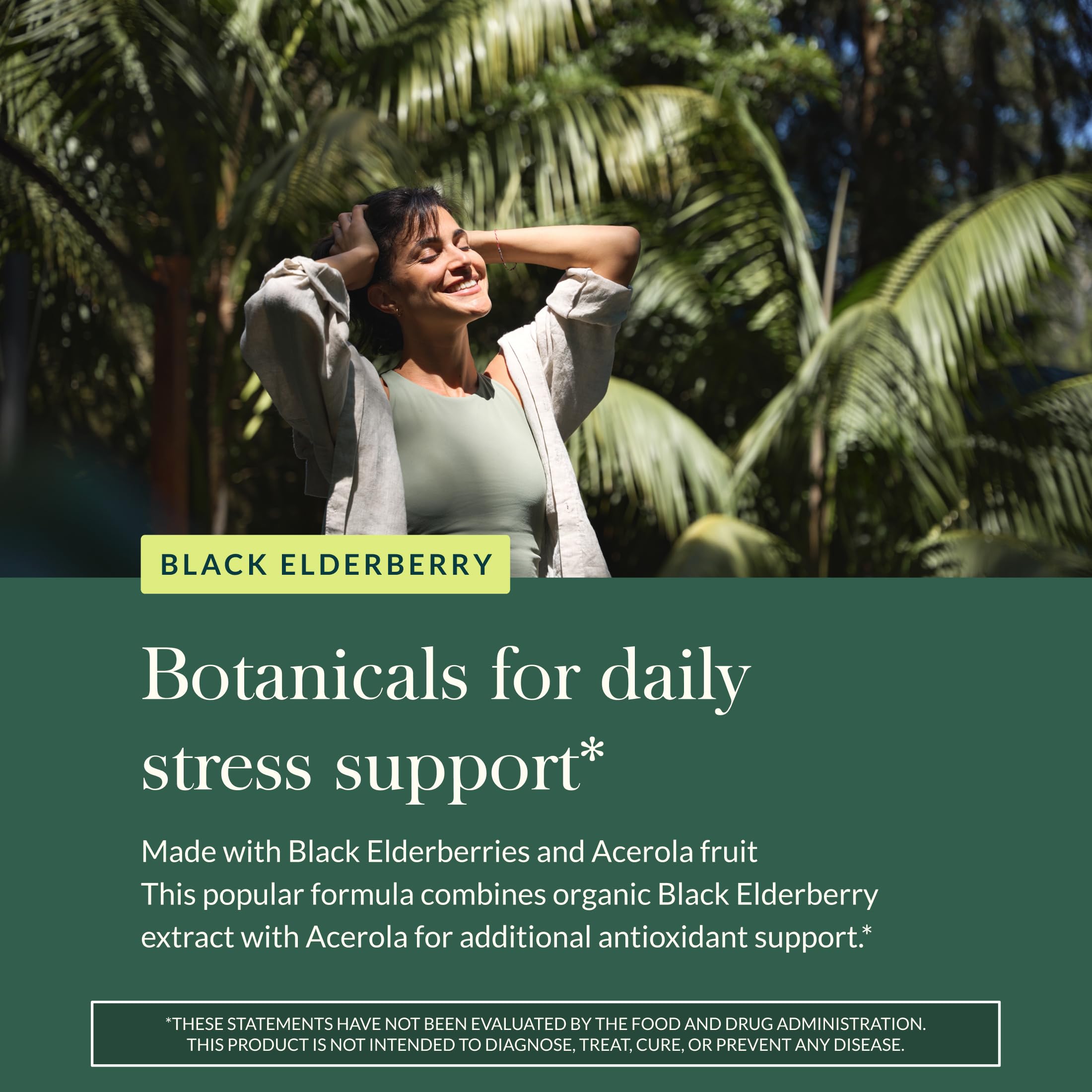 Plant-based ingredients graphic for Gaia Herbs elderberry formula