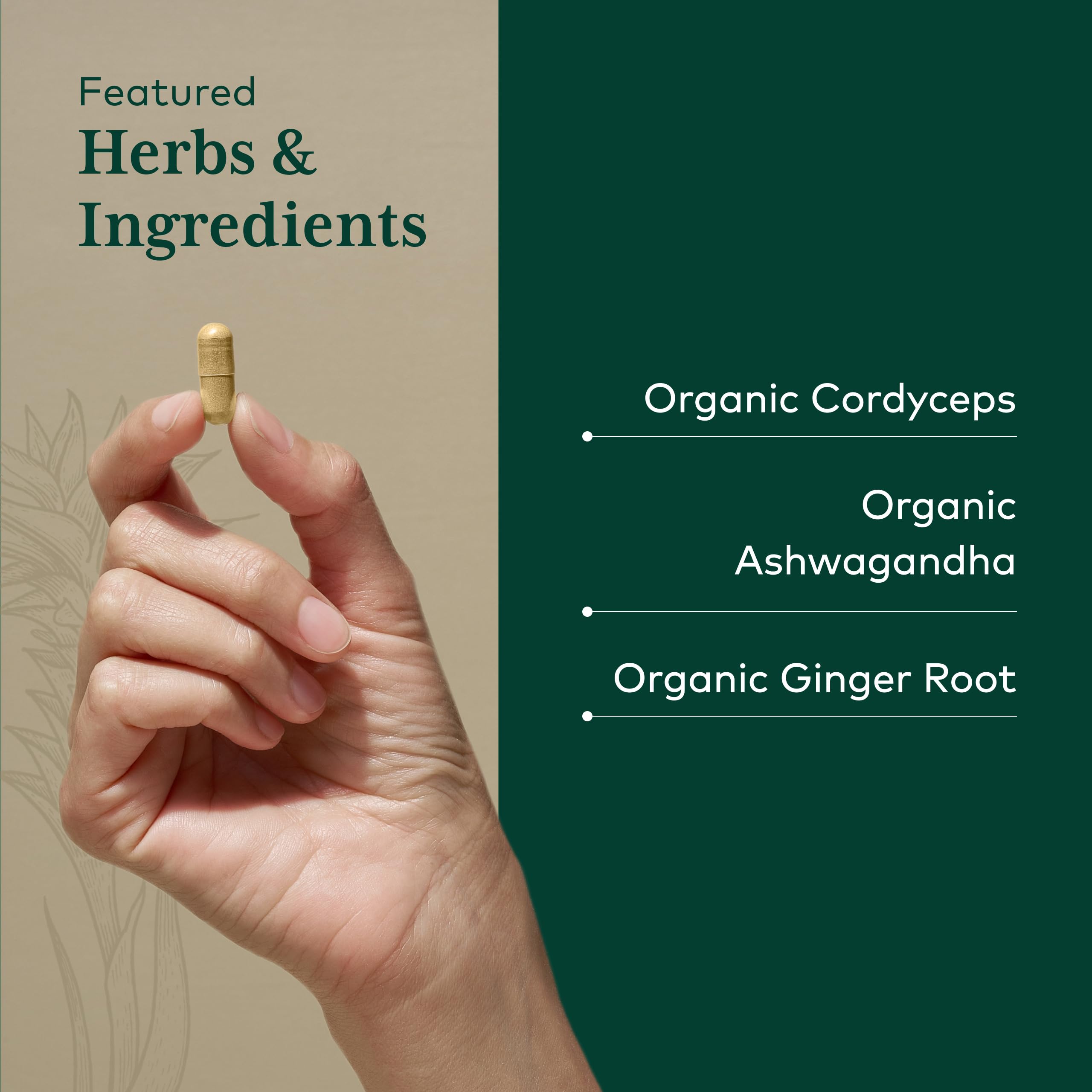 GAIA Herbs PRO Adaptogen Performance daily use scene showing easy routine integration.