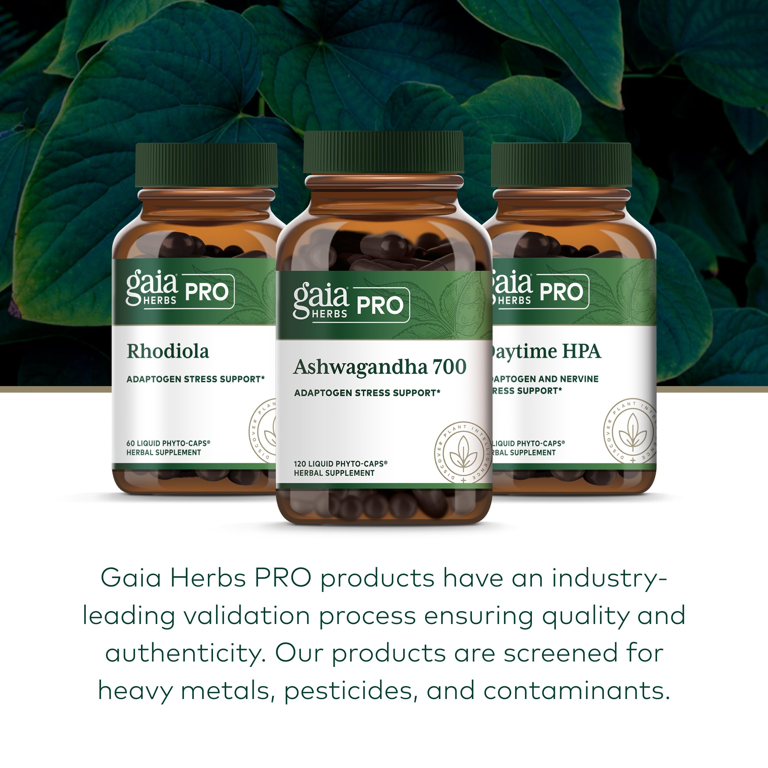 Gaia Herbs PRO Ashwagandha 700 packaging recycled materials signals eco-friendly packaging.