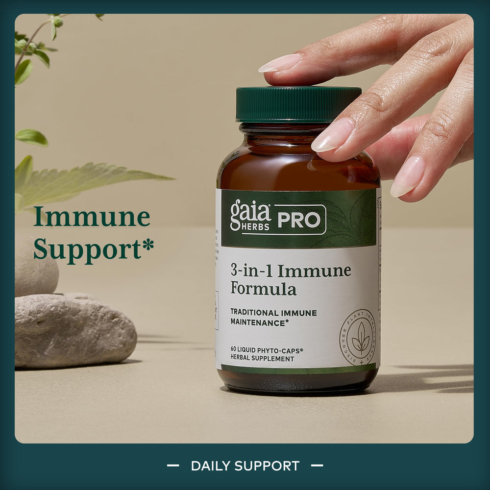 Astragalus root ingredient close-up emphasizing traditional immune-boosting herb