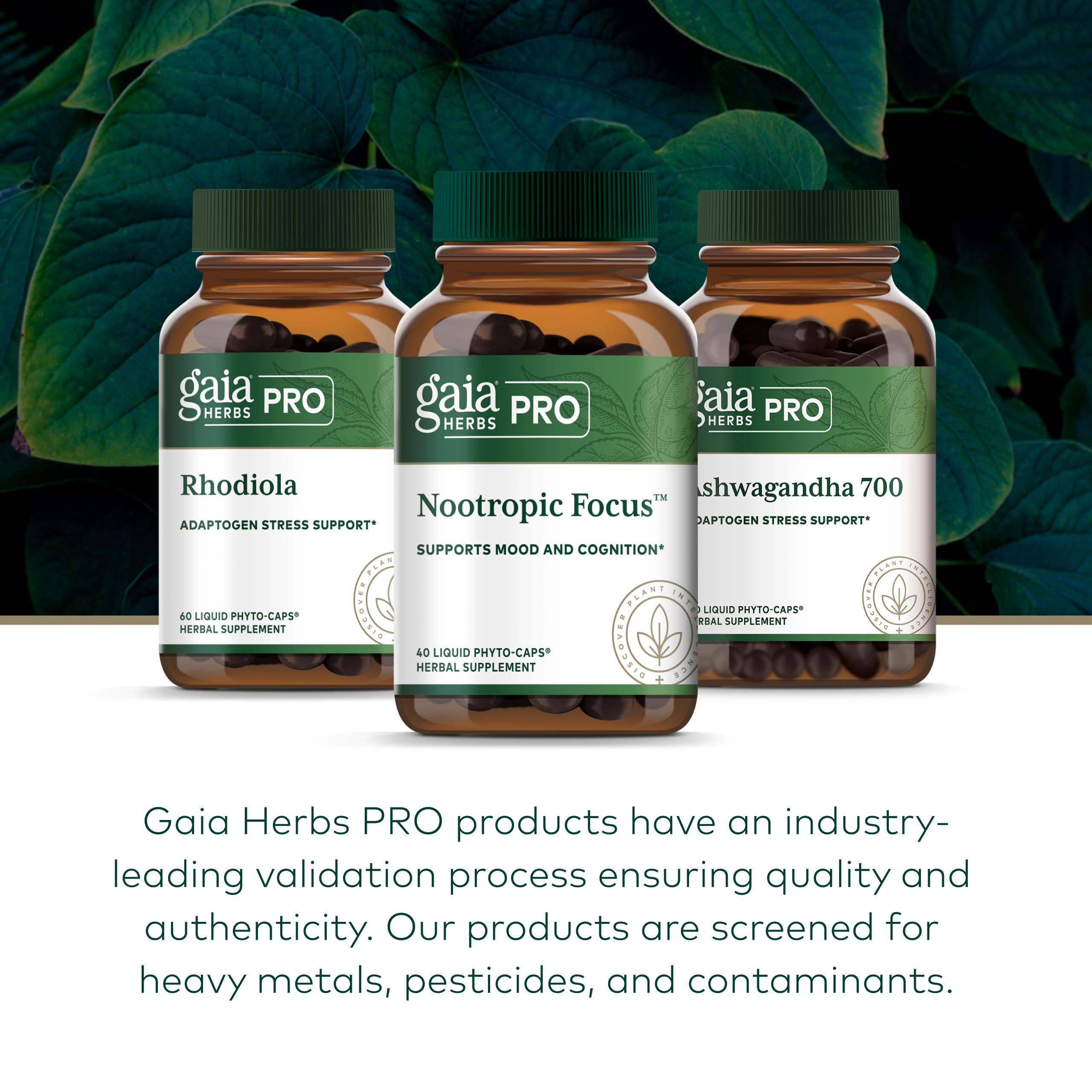 GAIA HERBS PRO bottle cap open showing ready-to-take capsules.