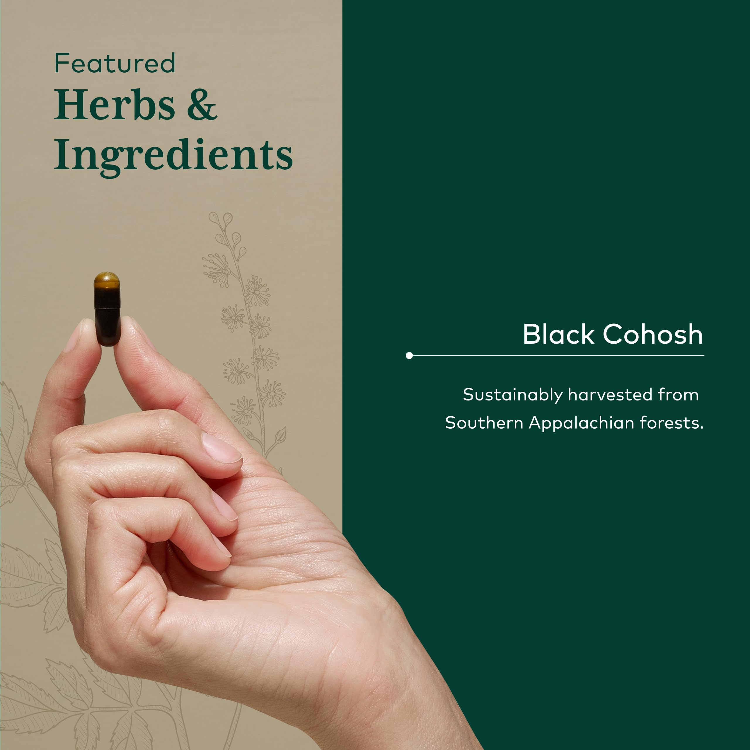 GAIA HERBS PRO capsules closeup suggests easy daily use for hormonal balance.