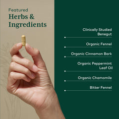 Gaia Herbs PRO cinnamon bark image emphasizes broad digestive support through spice balance.