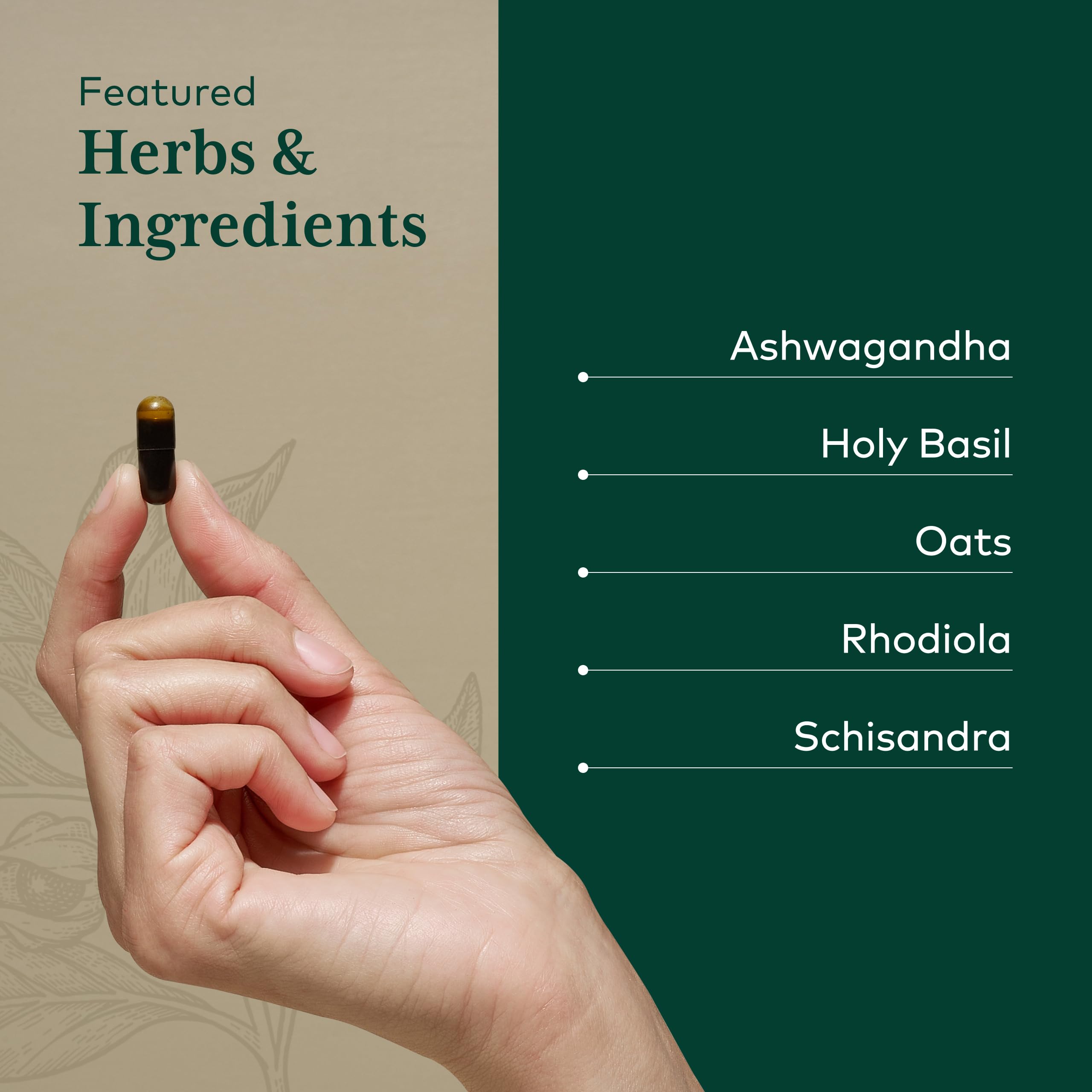 Gaia Herbs PRO Daytime HPA olive oil blend indicating enhanced absorption for daily use