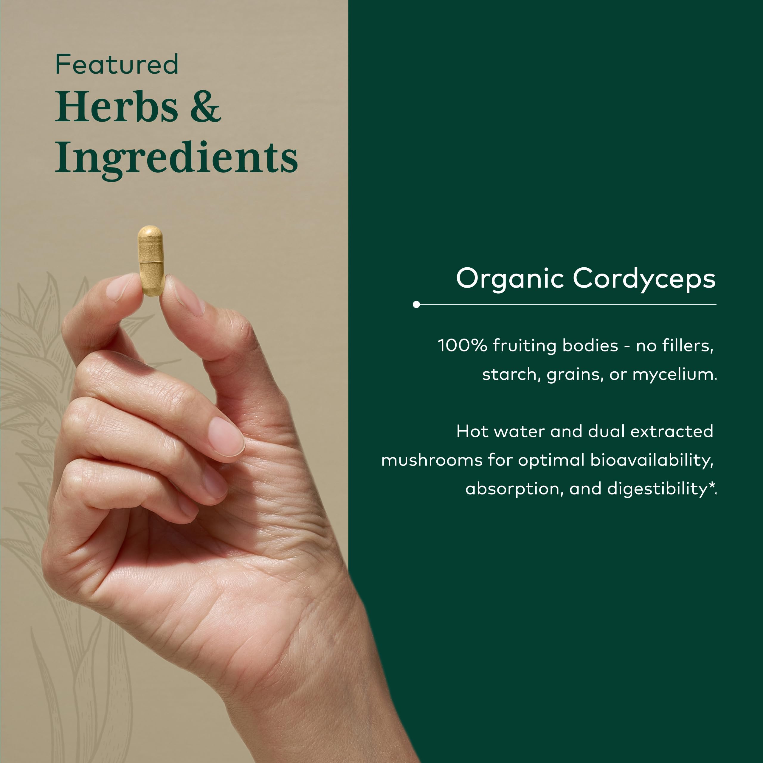 Gaia Herbs Pro Cordyceps dried mushroom pieces for quality ingredients