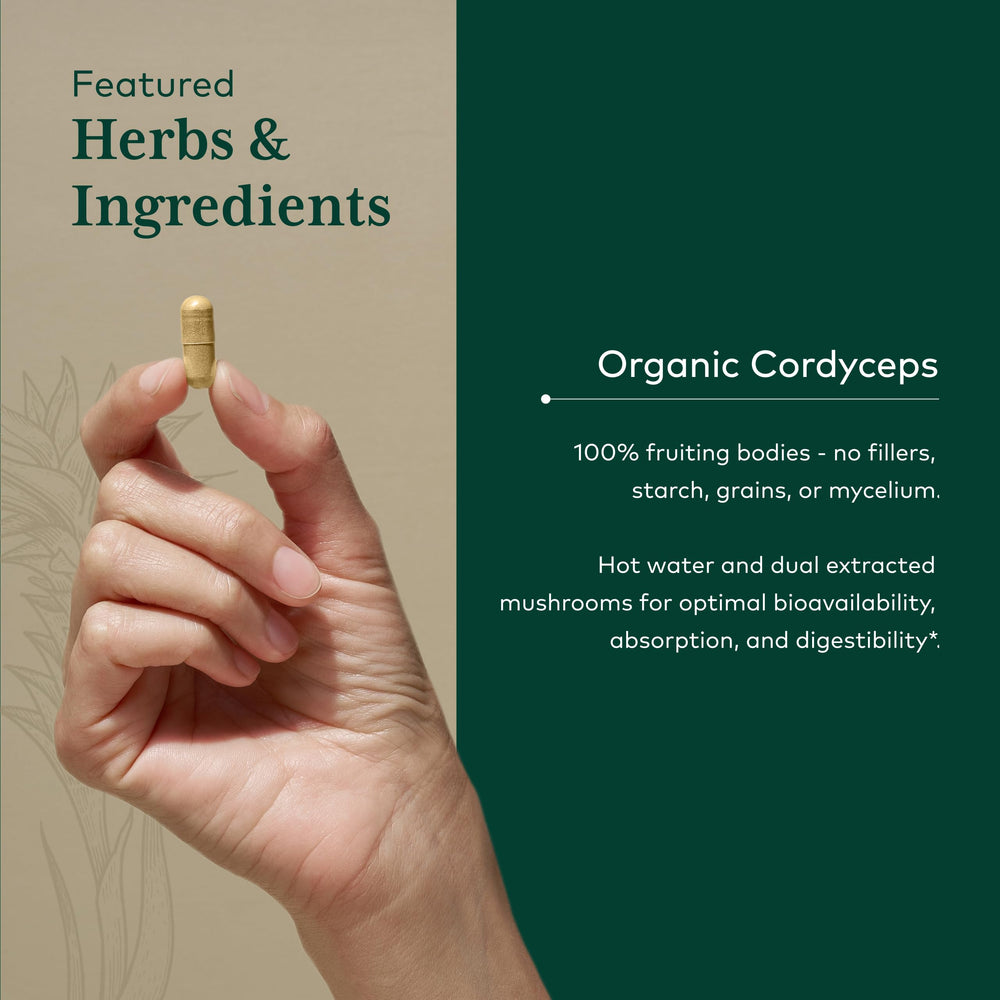 Gaia Herbs Pro Cordyceps dried mushroom pieces for quality ingredients