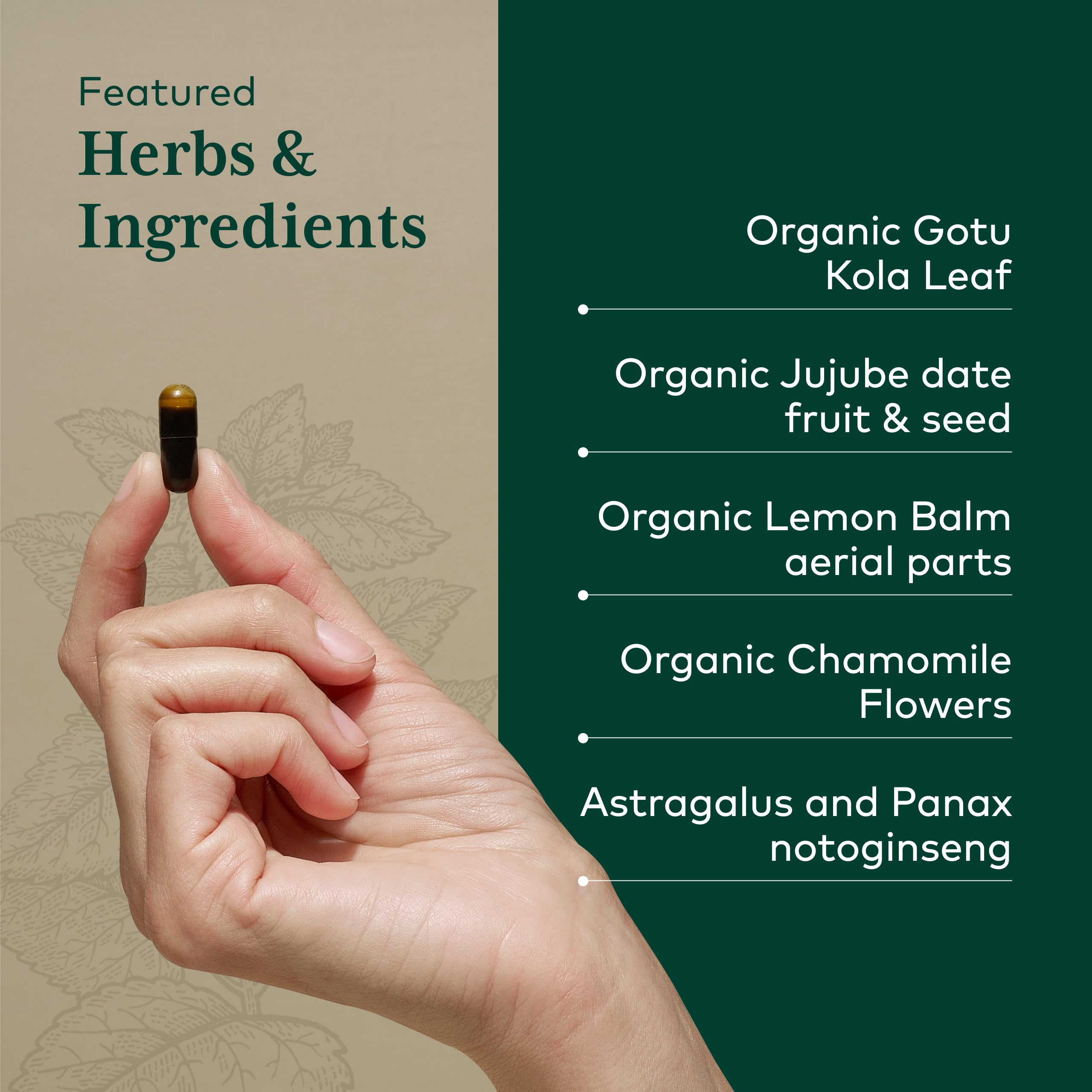 Gaia Herbs PRO EpiVital herbal blend with gotu kola and chamomile.