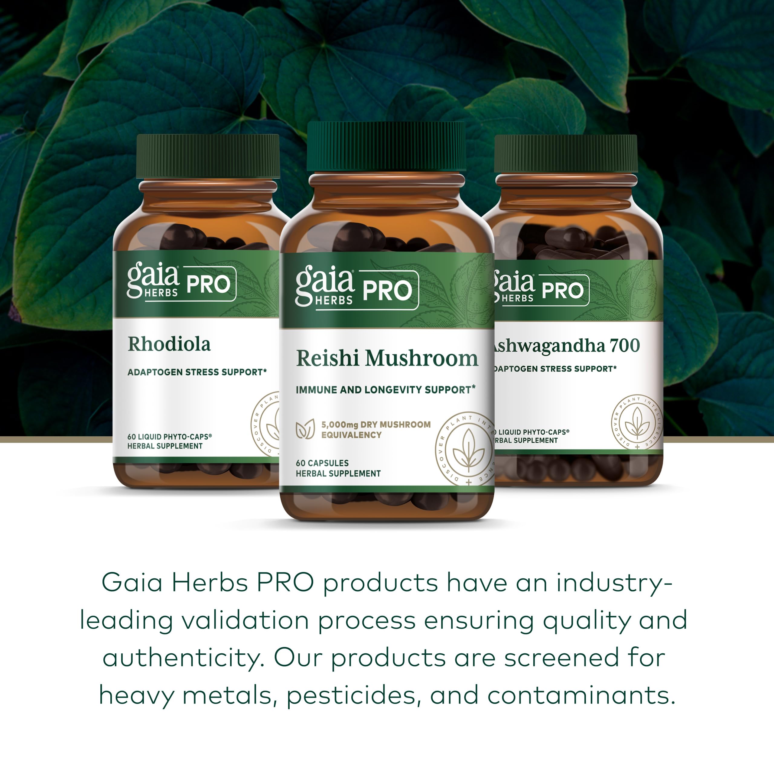 Gaia Herbs PRO farm lines emphasize regenerative cultivation for wellness.