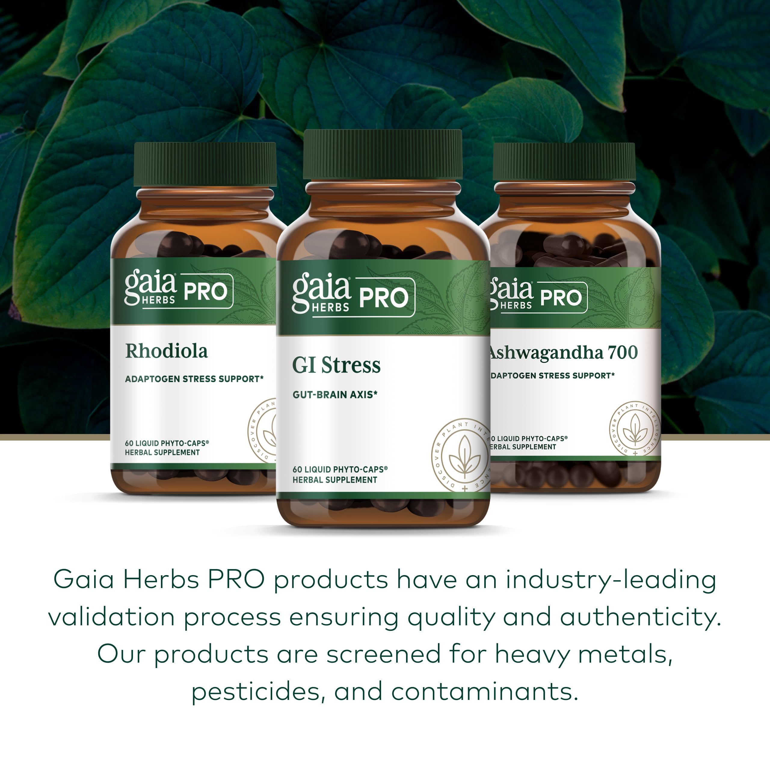 Gaia Herbs PRO GI Stress regenerative organic farm in North Carolina
