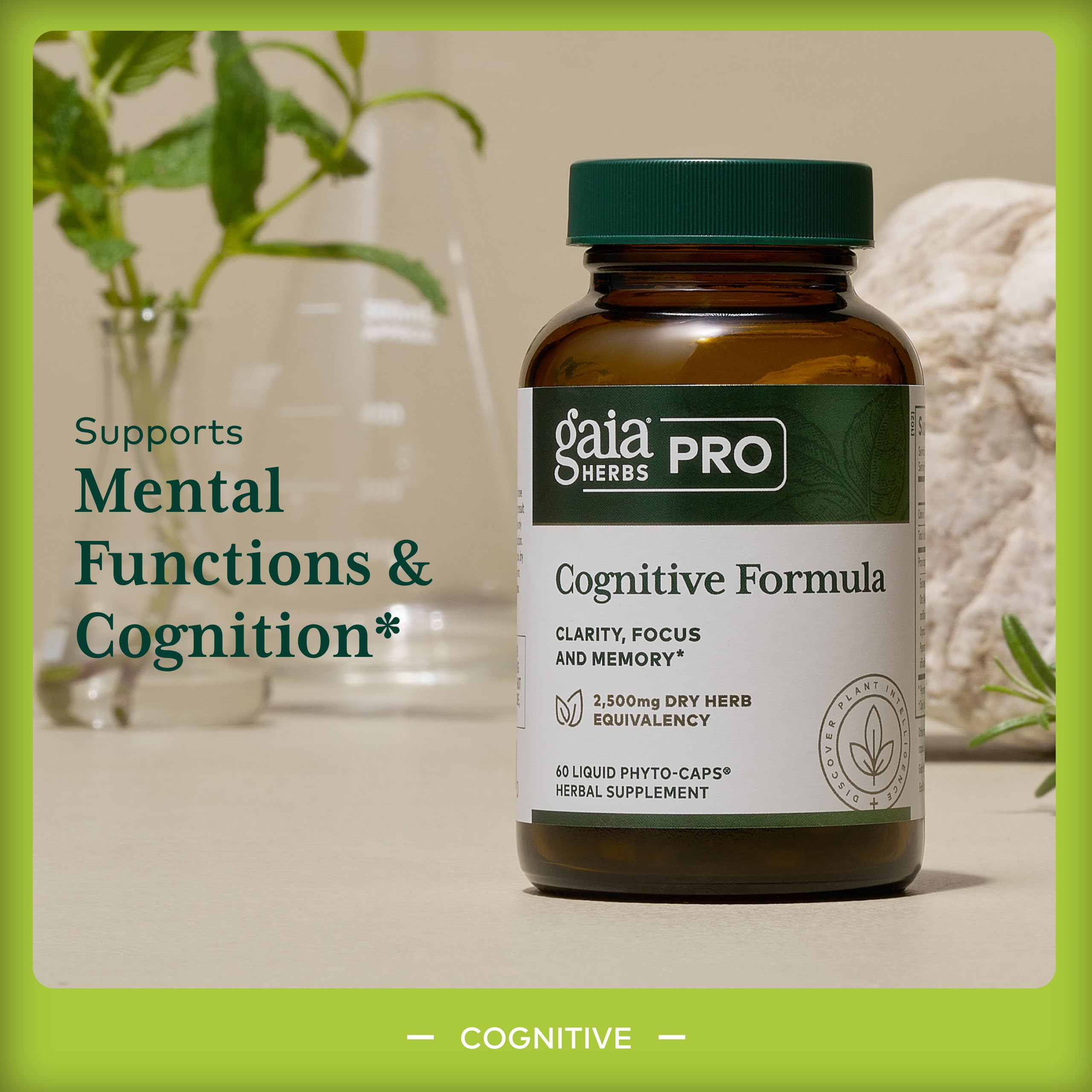 GAIA HERBS PRO Ginkgo Leaf showing brain circulation support