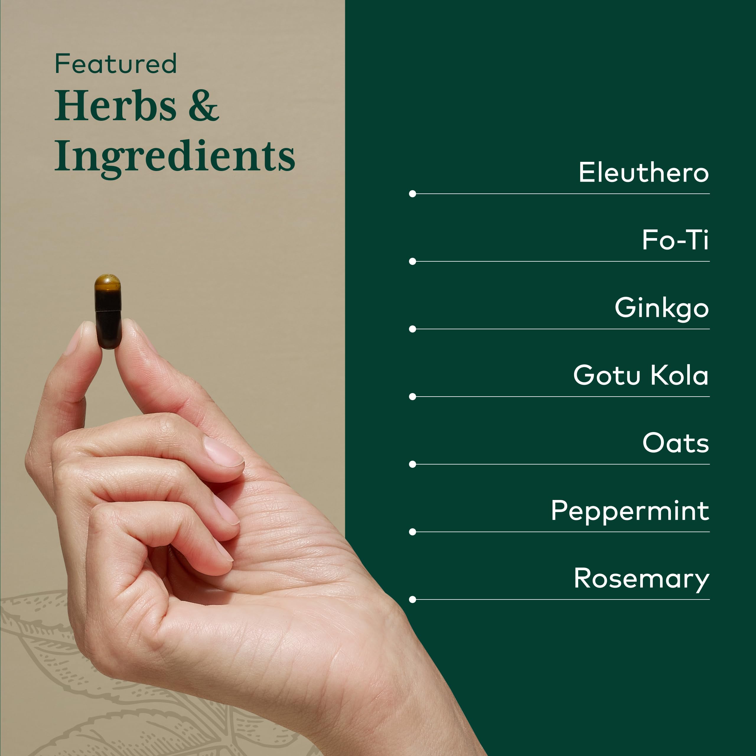 GAIA HERBS PRO Gotu Kola Leaf indicating steady focus