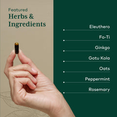 GAIA HERBS PRO Gotu Kola Leaf indicating steady focus