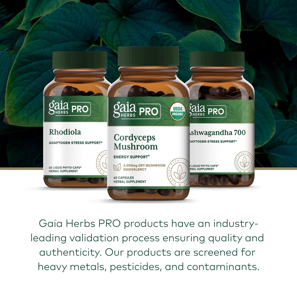 Gaia Herbs Pro hot water extraction setup for enhanced absorption