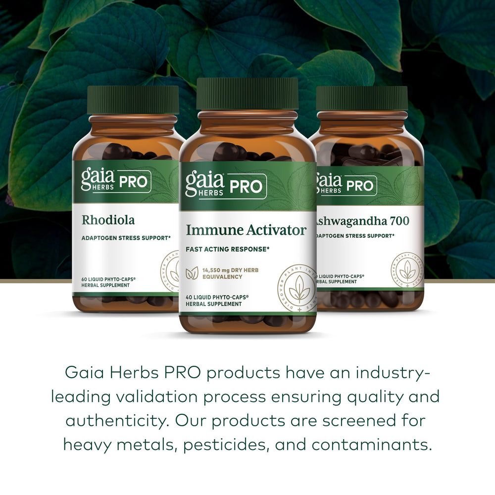 GAIA Herbs Pro Immune Activator andrographis note showcases vegan herbal synergy.
