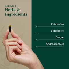 GAIA Herbs Pro Immune Activator elderberry imagery highlights natural plant-based immune support.