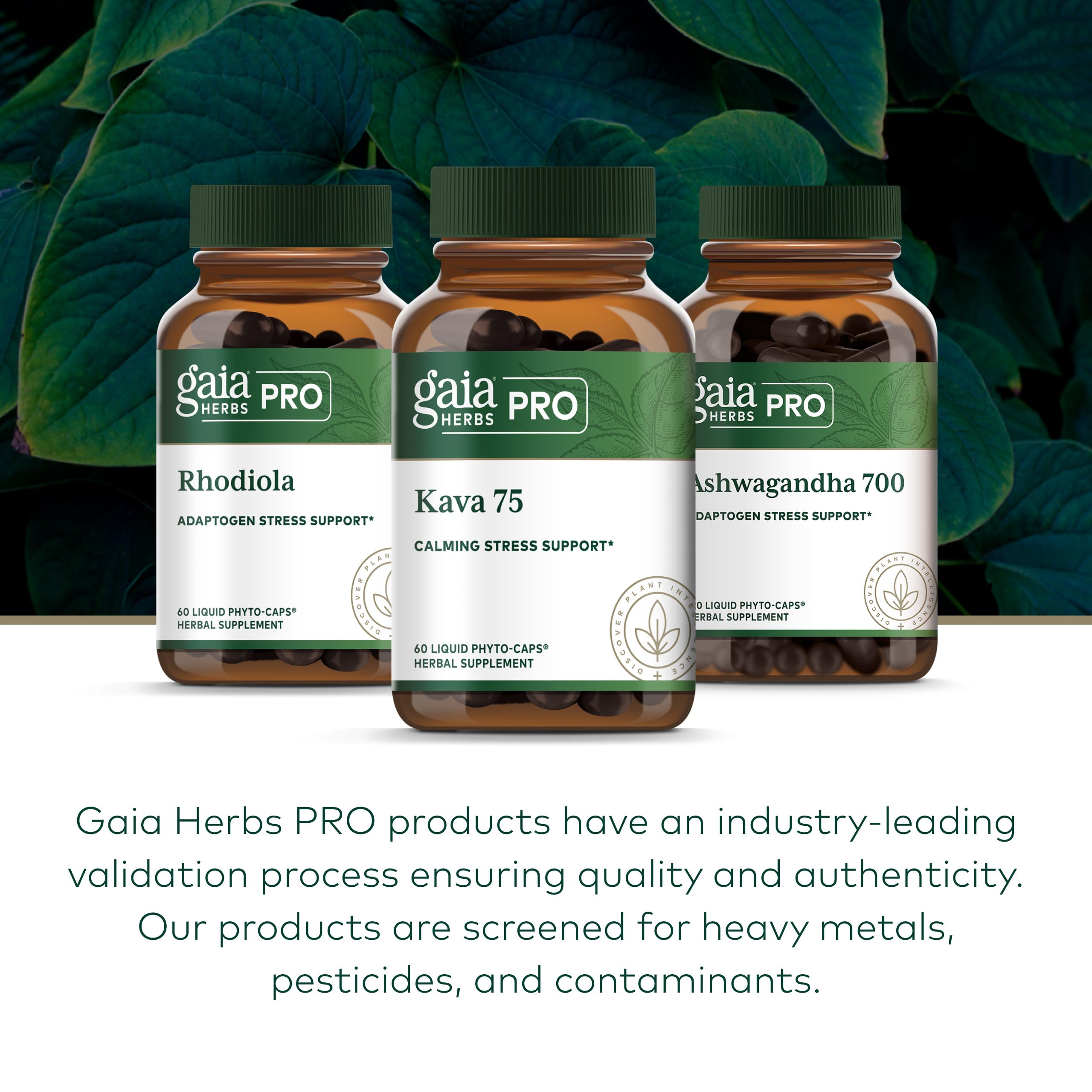 GAIA Herbs PRO Kava 75 farm origins showcasing regenerative organic farming