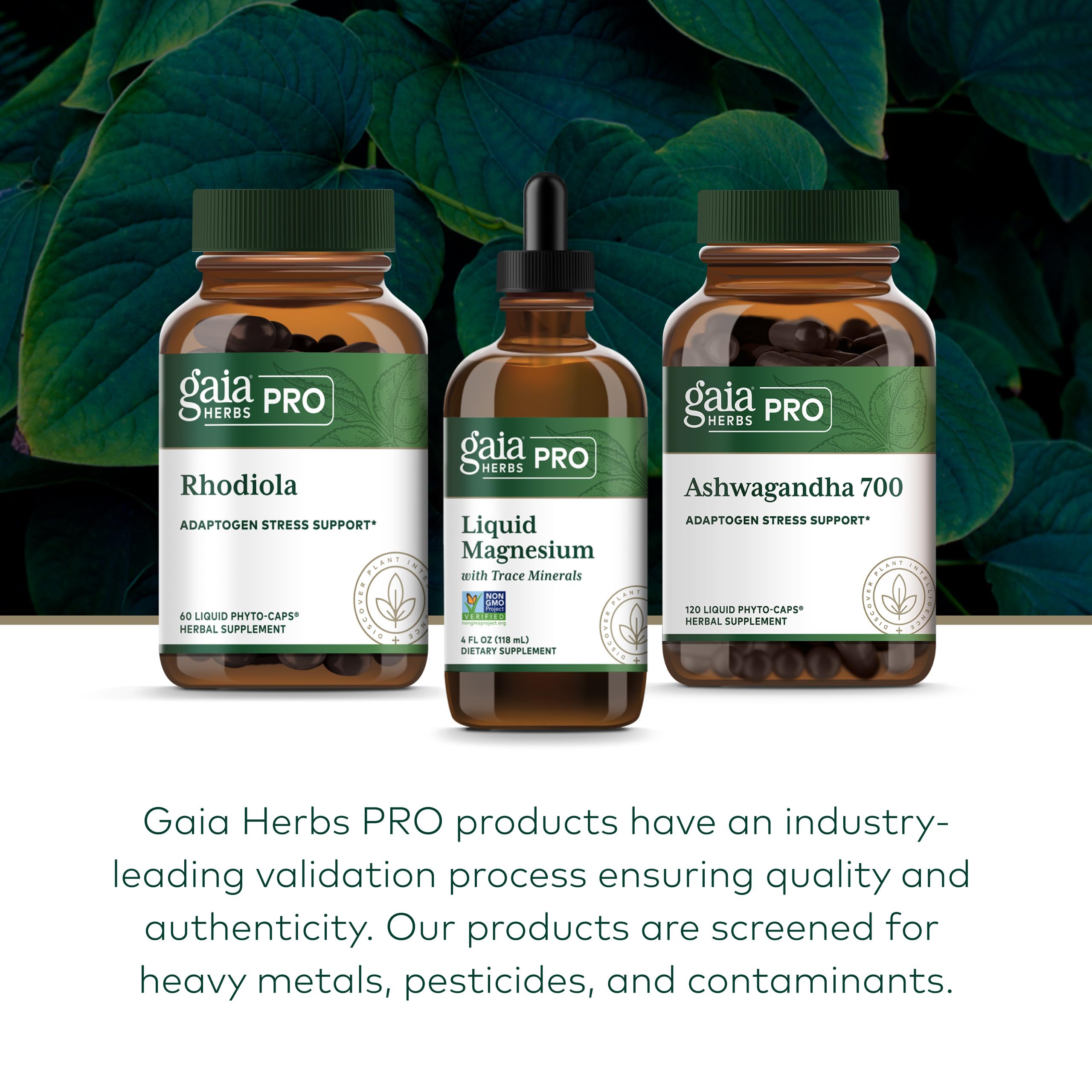 Gaia Herbs regenerative organic farm image supporting sourcing and sustainability