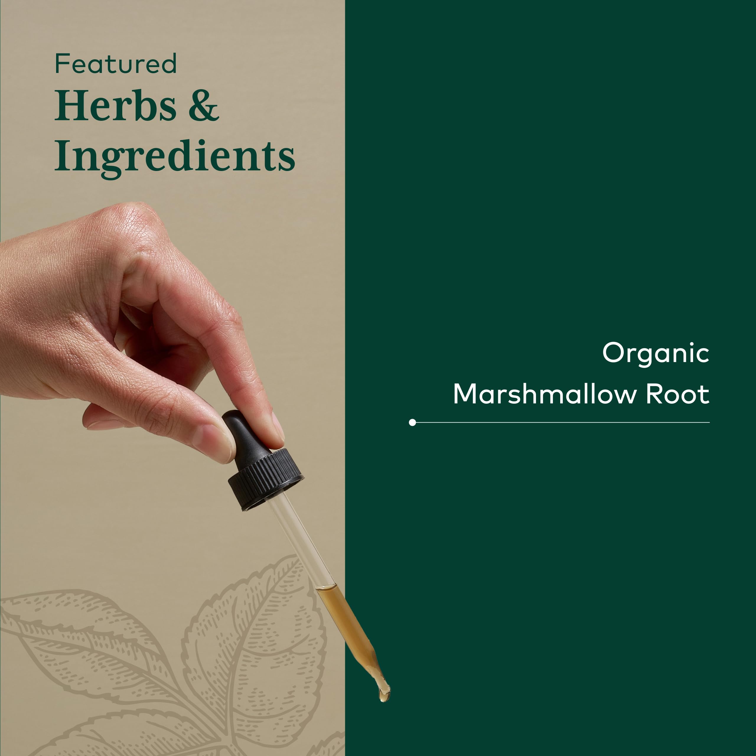 GAIA Herbs PRO marshmallow root spoon dip illustrates measured servings
