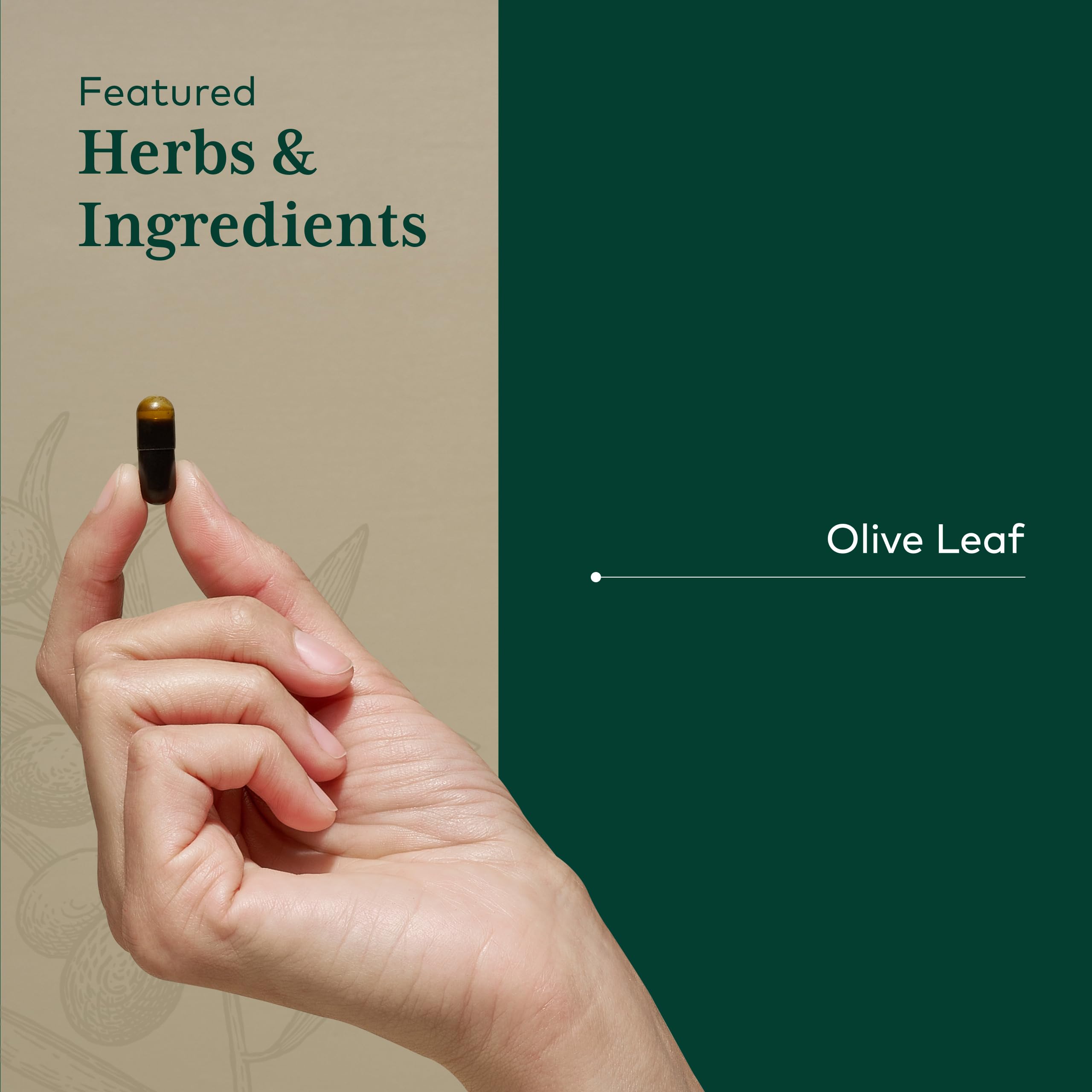 Gaia Herbs PRO Olive Leaf 1360 pour showing convenient daily dose.