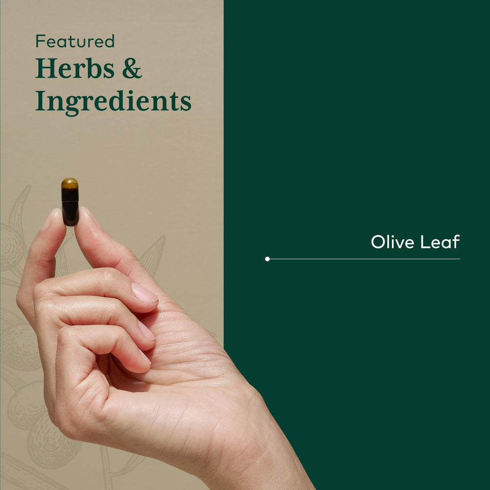 Gaia Herbs PRO Olive Leaf 1360 pour showing convenient daily dose.