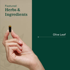Gaia Herbs PRO Olive Leaf 1360 pour showing convenient daily dose.