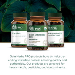 Gaia Farms regenerative organic farming in North Carolina with elderberry crops.