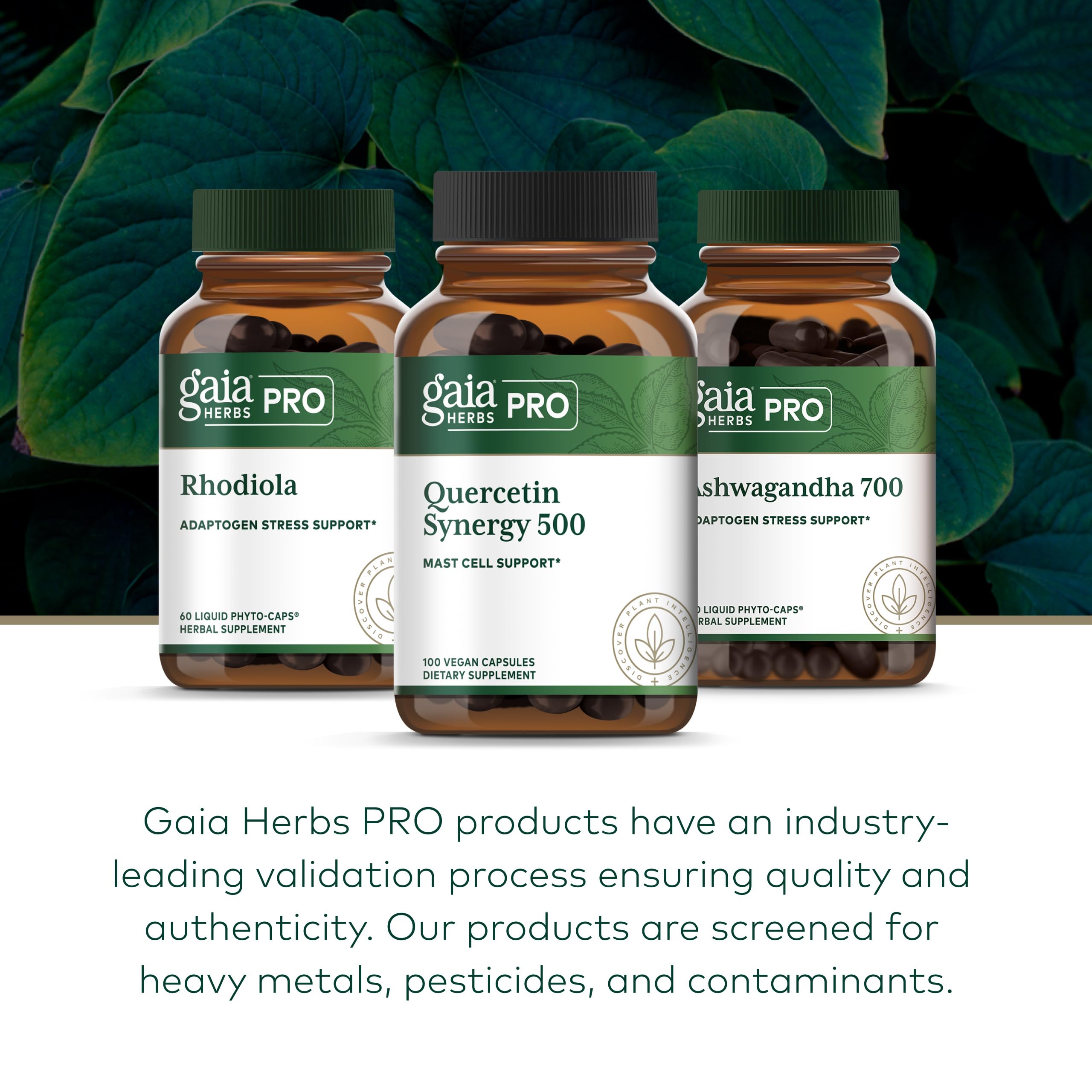 GAIA Herbs PRO Quercetin Synergy 500 bromelain-turmeric formula closeup