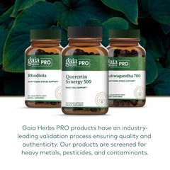 GAIA Herbs PRO Quercetin Synergy 500 bromelain-turmeric formula closeup