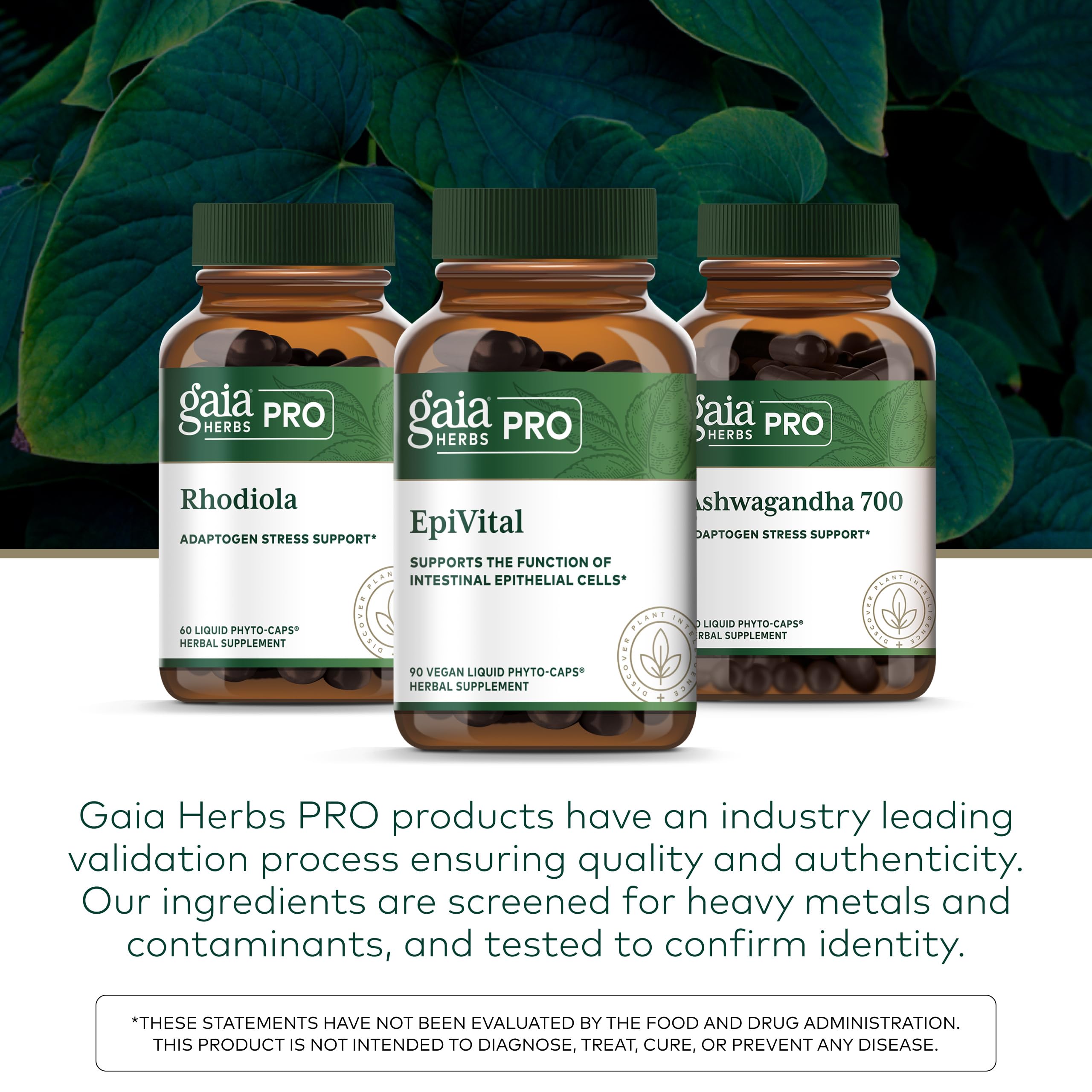 Gaia Herbs PRO regenerative organic farm in North Carolina.