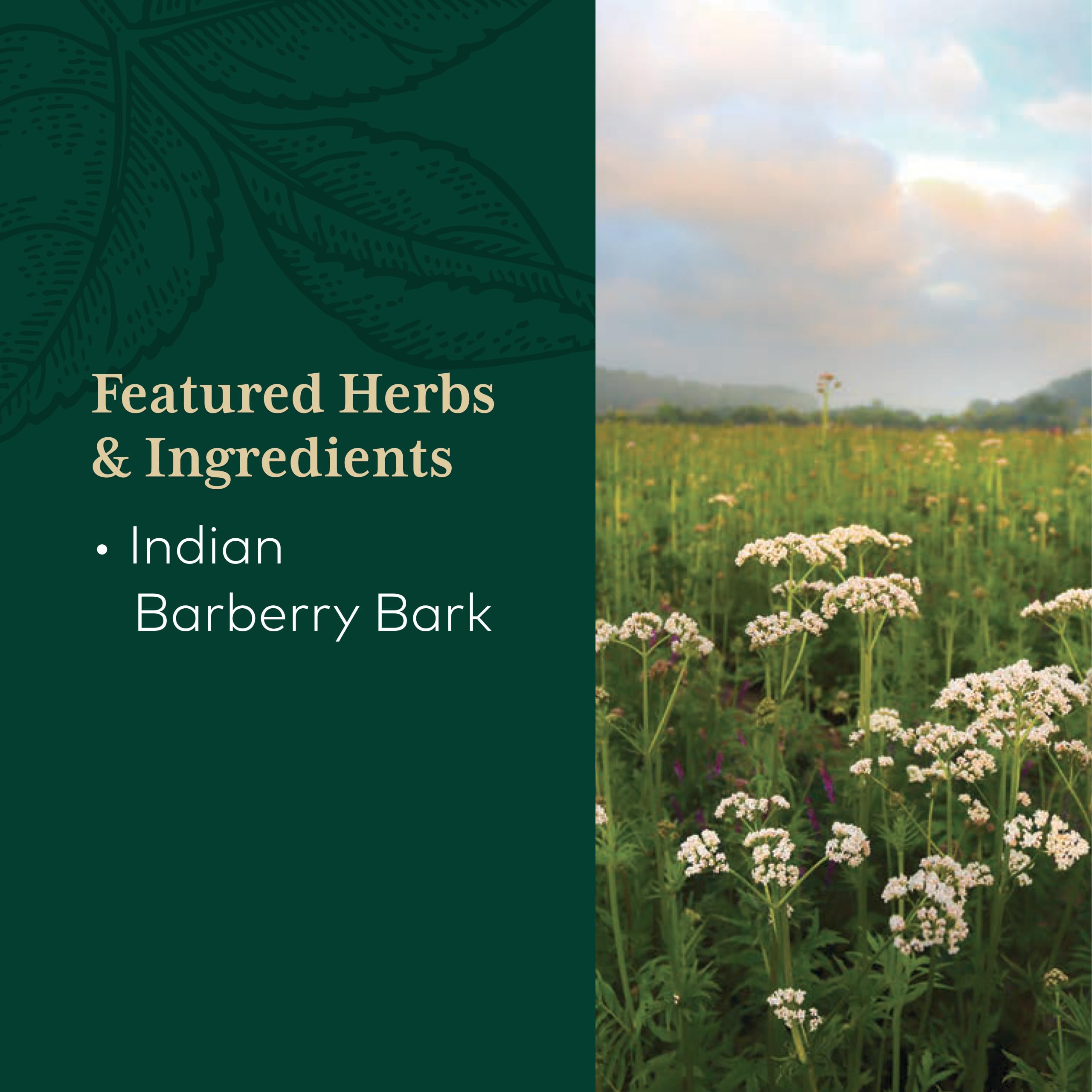 Gaia Herbs PRO regenerative organic farm in North Carolina illustrating sustainable sourcing.