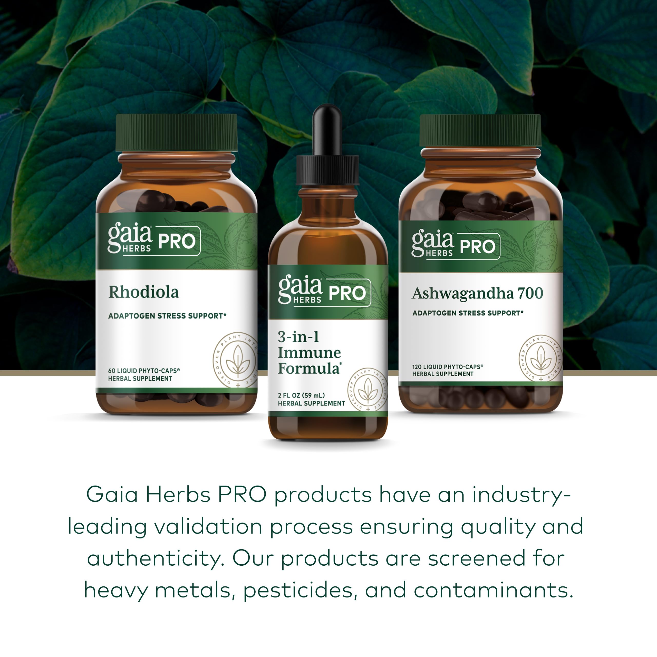 Gaia's regenerative organic farm landscape reflects sustainable herb cultivation.