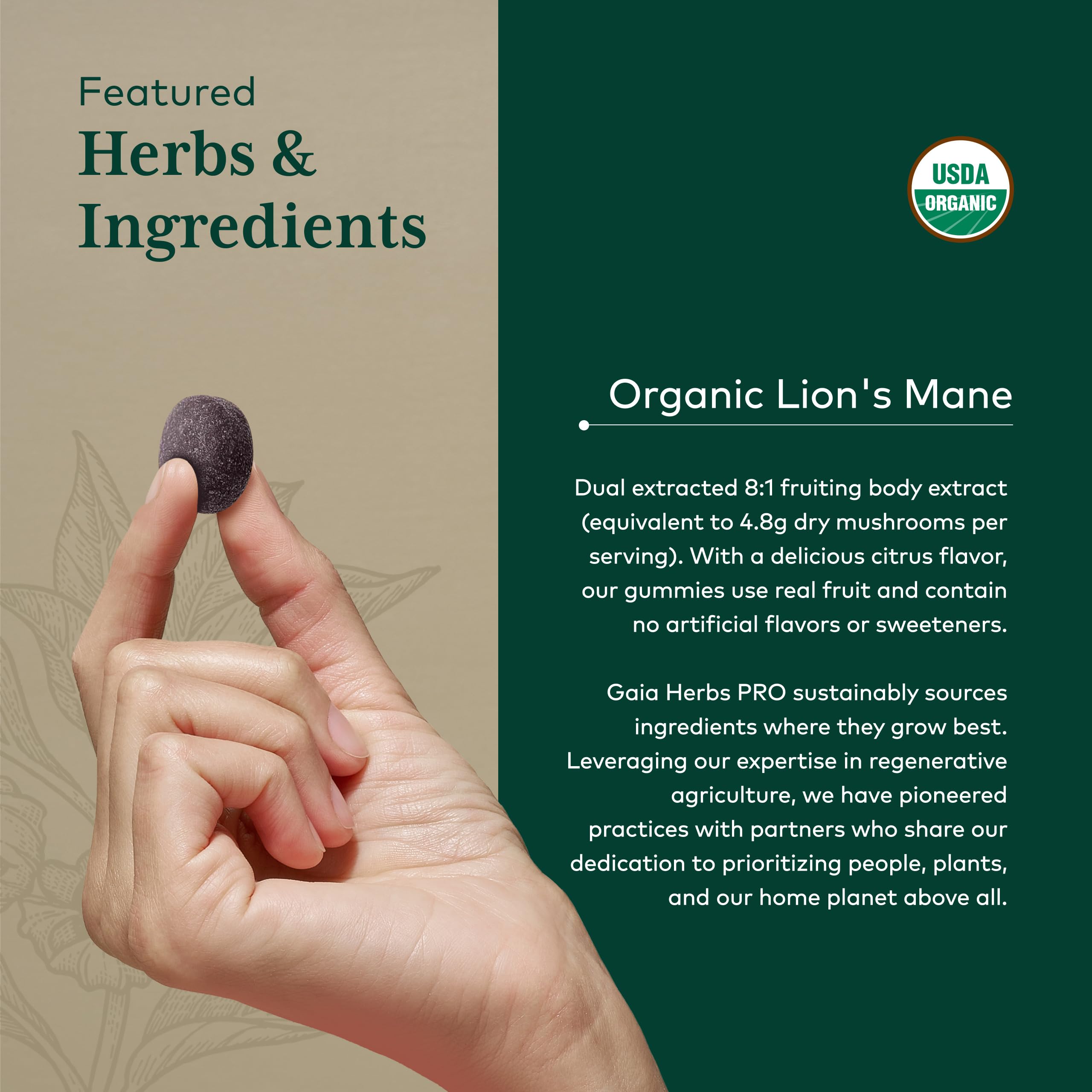 Regenerative organic farm scene with Gaia Herbs Pro ingredients.