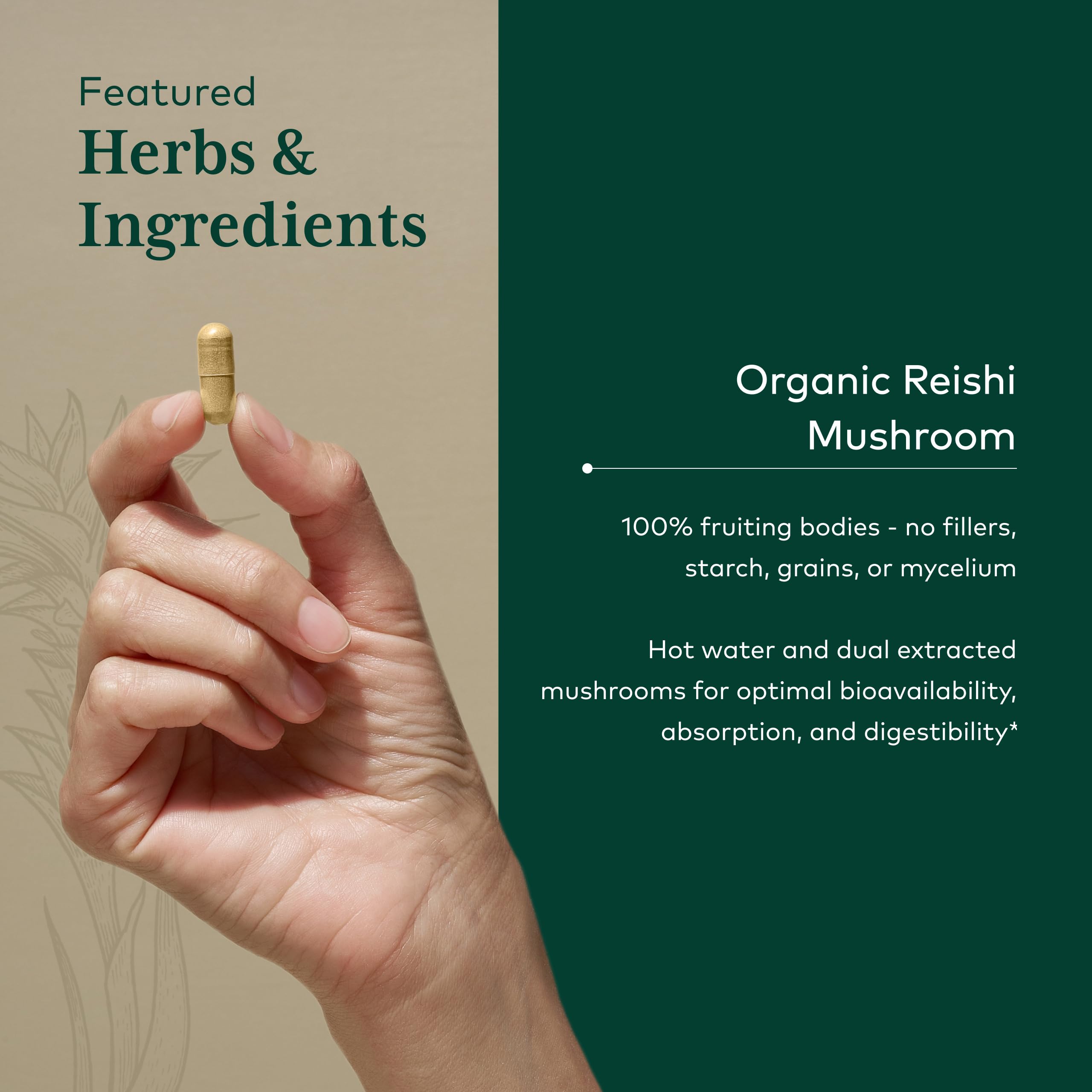 Gaia Herbs PRO Reishi organic mushrooms on shelf convey purity.