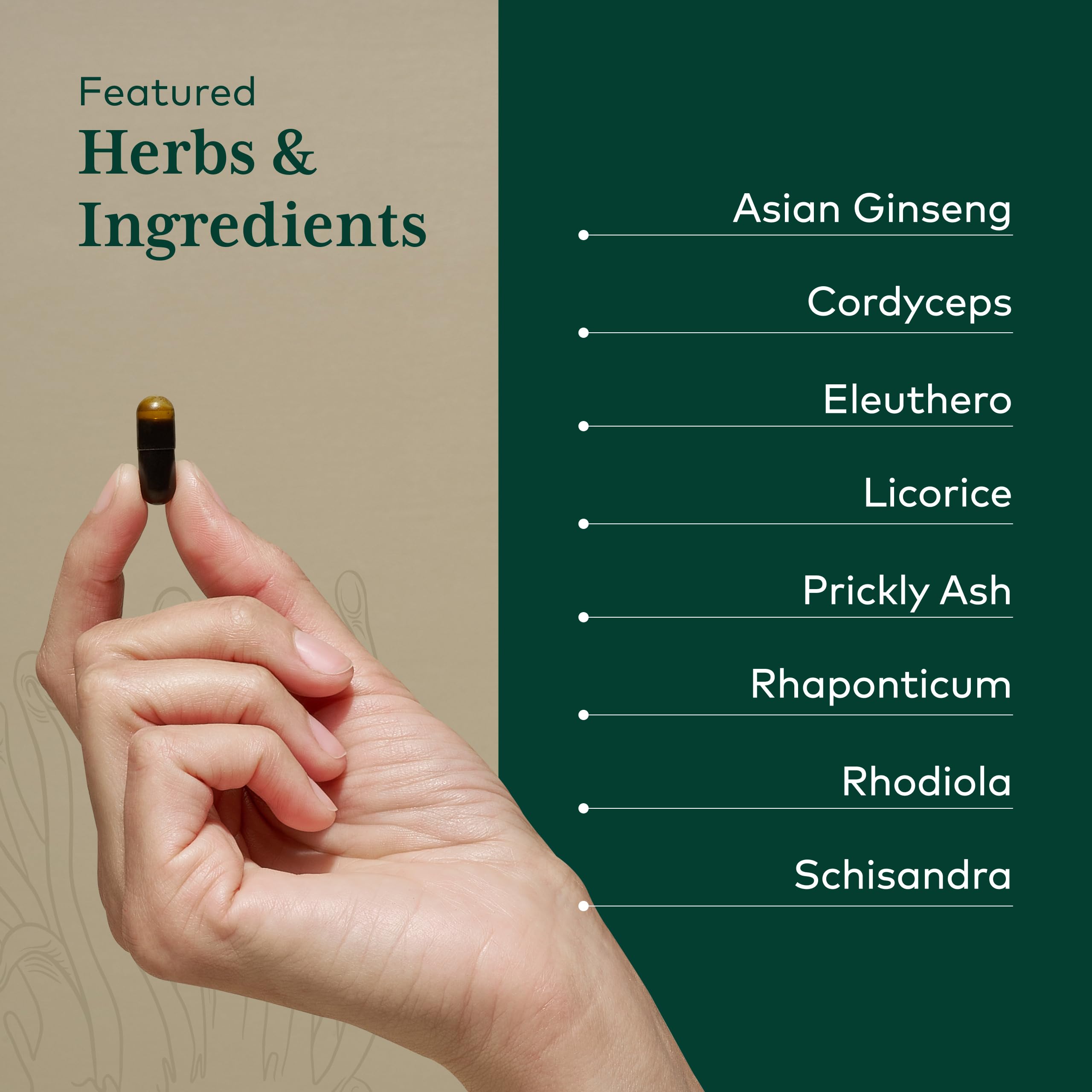 Gaia Herbs Pro Revive HPA cordyceps close-up emphasizing adaptogenic focus.
