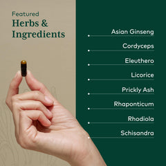 Gaia Herbs Pro Revive HPA cordyceps close-up emphasizing adaptogenic focus.