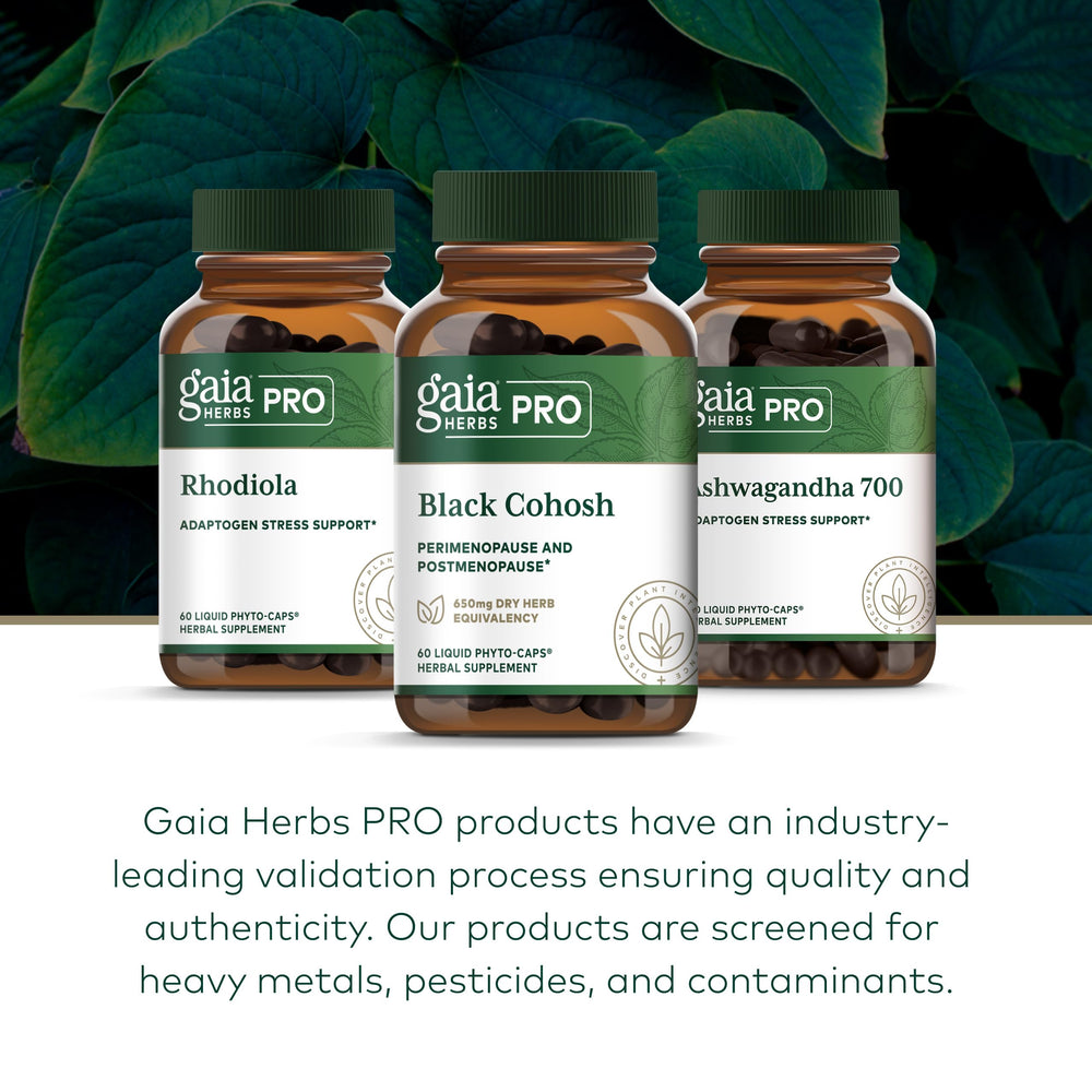 GAIA HERBS PRO root extract illustration signals potency and tradition.