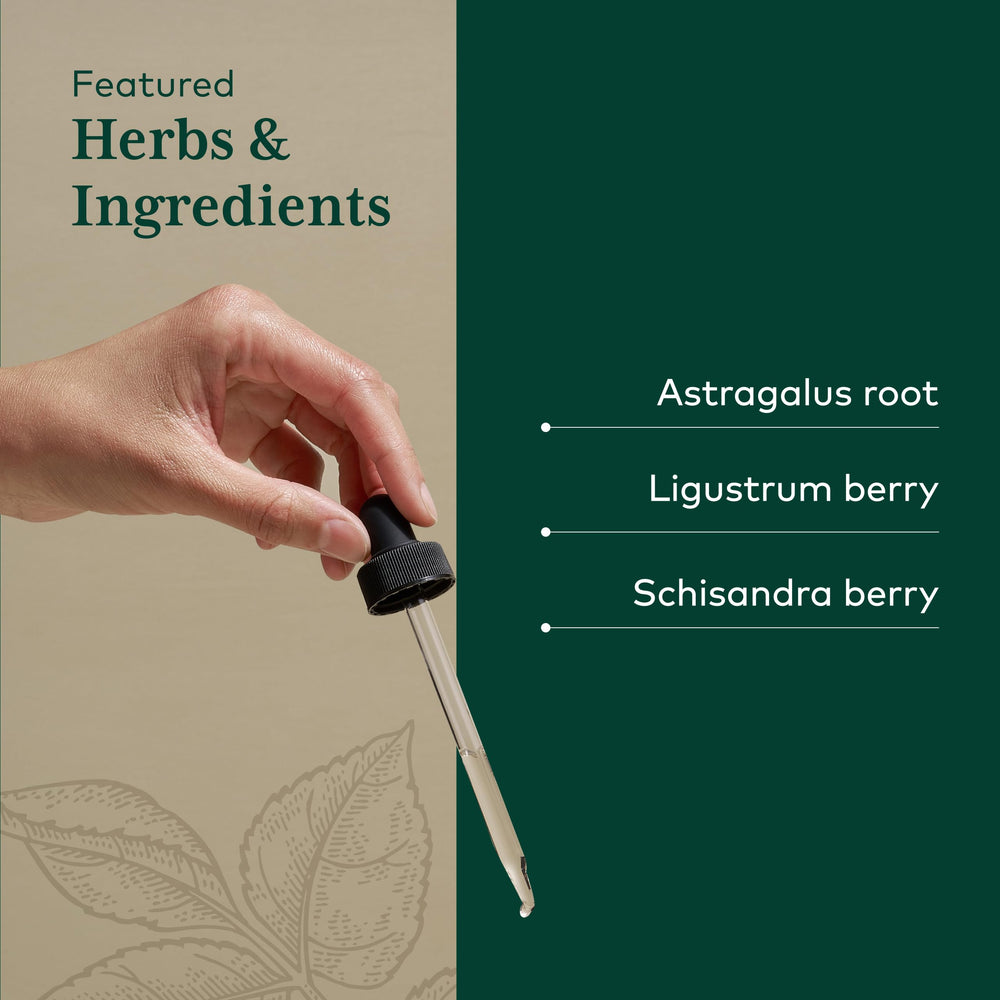 Schisandra berry imagery emphasizes antioxidant-rich botanicals in the formula.