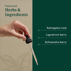 Schisandra berry imagery emphasizes antioxidant-rich botanicals in the formula.