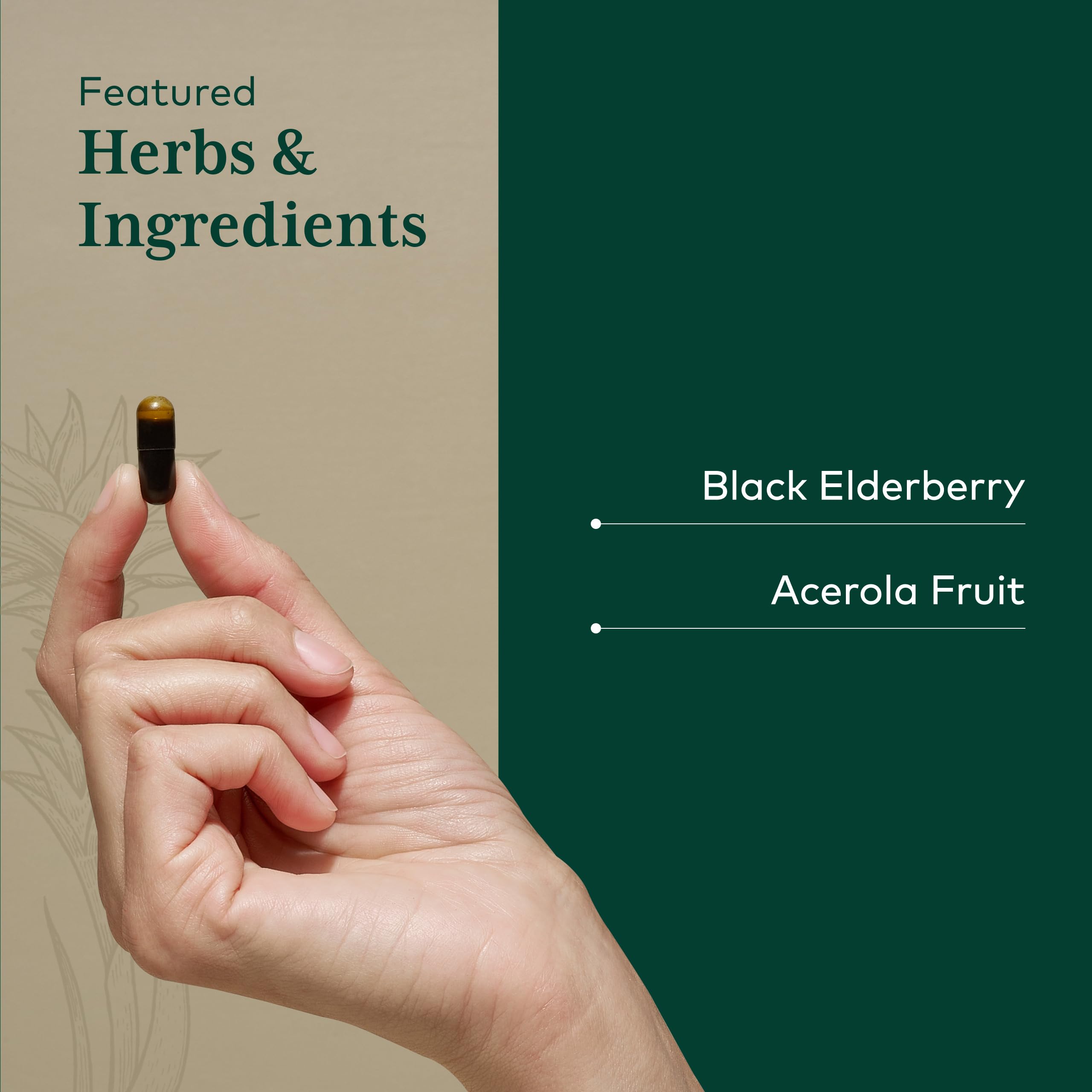 Serving size information on Gaia Herbs PRO Black Elderberry PRO bottle.