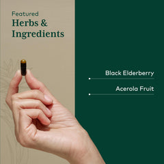Serving size information on Gaia Herbs PRO Black Elderberry PRO bottle.