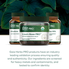 Serving spoon with Gaia Herbs Pro Lions Mane Gummies for daily use.
