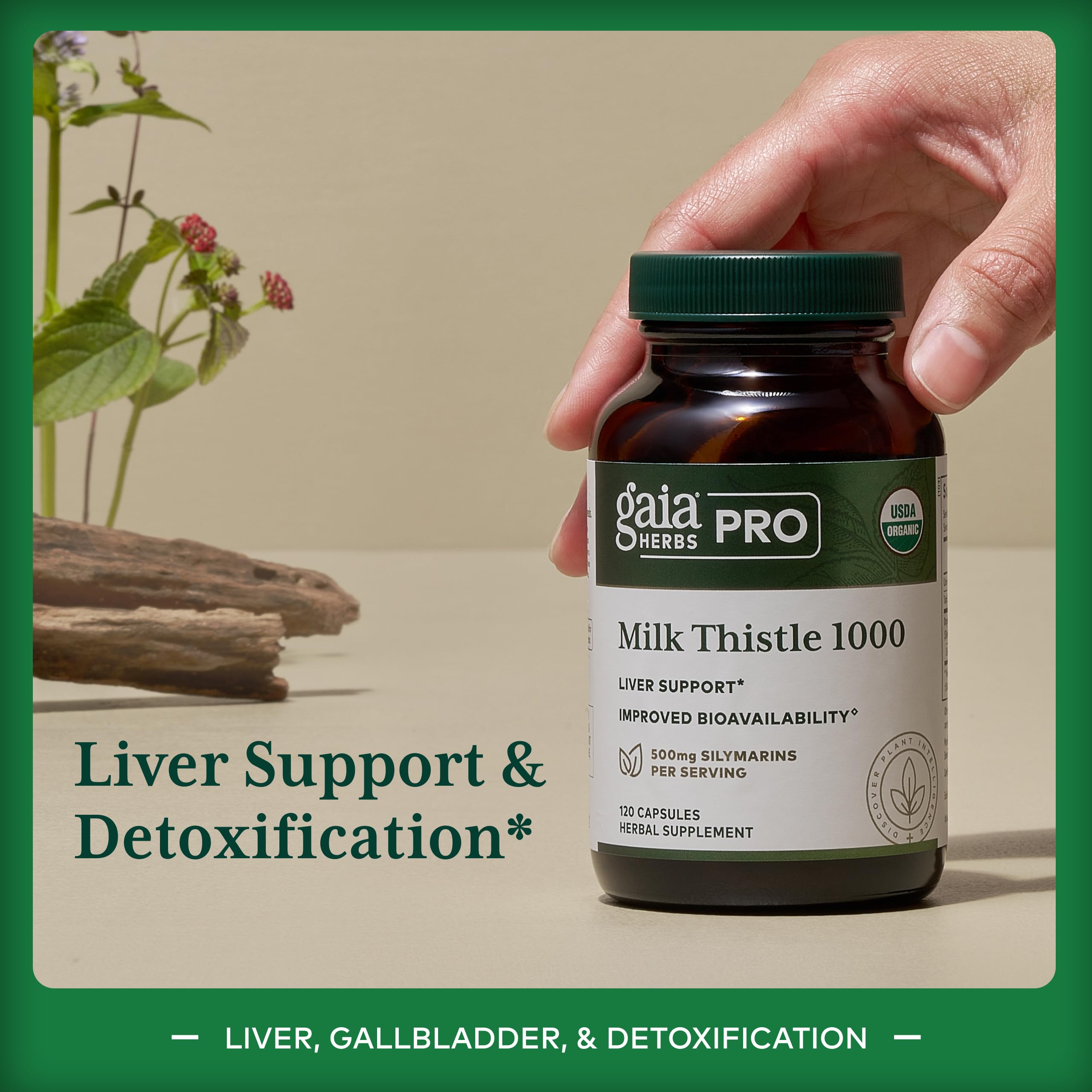 Gaia Herbs PRO Silactive extract label shows 500 mg silymarins per serving