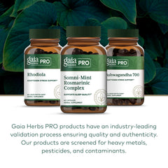 Gaia Herbs PRO Somni-Mint Rosmarinic Complex holy basil component close-up